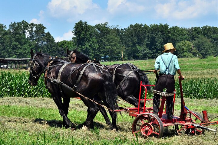 Amish Farmlands Tour