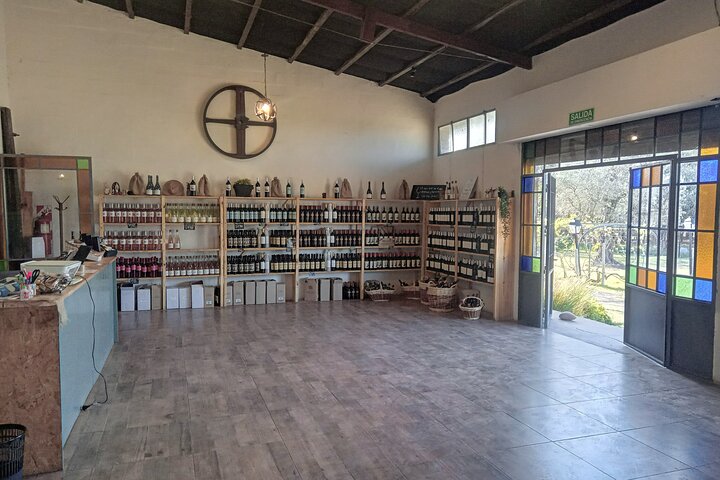 Excursión de 3 bodegas y 1 olivícola con degustación