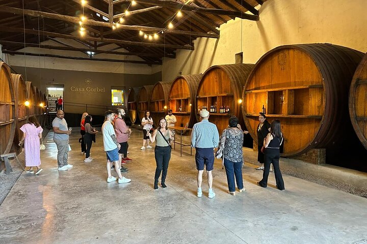 Excursión de 3 bodegas y 1 olivícola con degustación