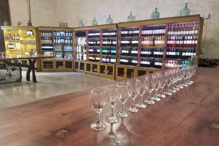 Excursión de 3 bodegas y 1 olivícola con degustación