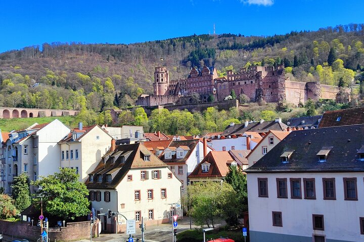 Heidelberg Castle and Romantic Town