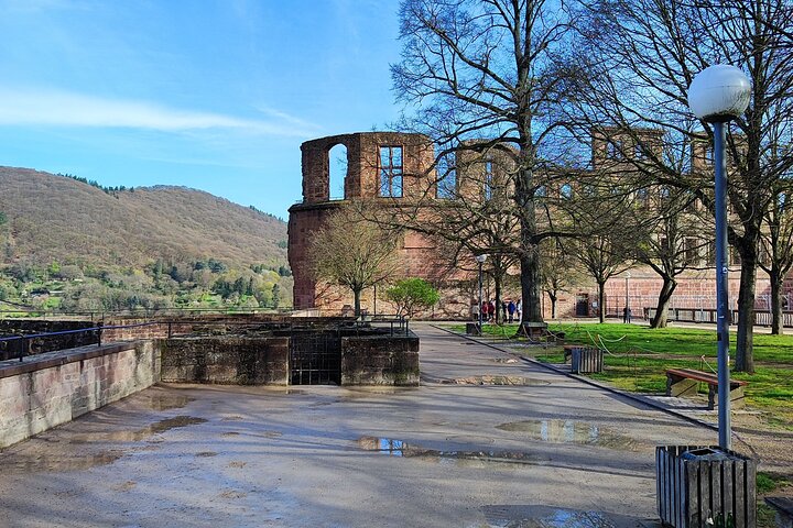 Heidelberg Castle and Romantic Town