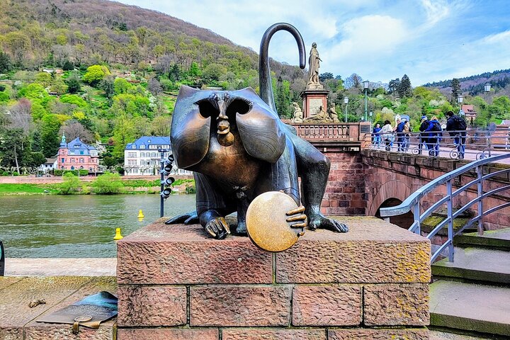 Heidelberg Castle and Romantic Town