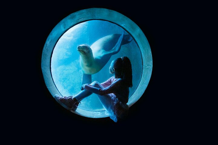 Skip the Ticketing Line: Aquarium of the Pacific General Admission Ticket