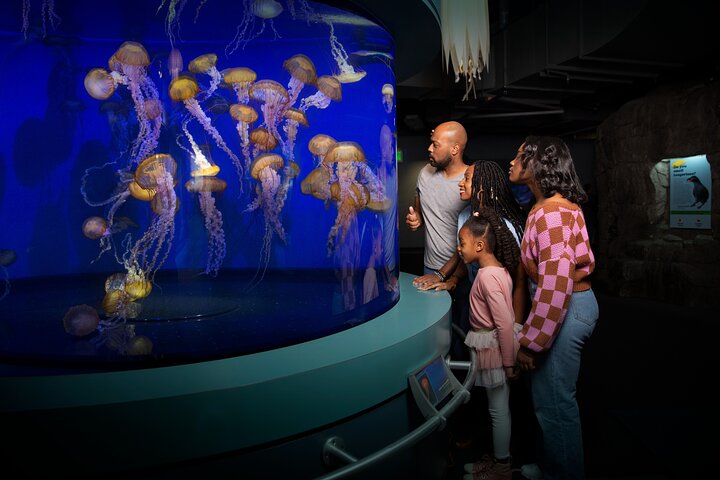 Skip the Ticketing Line: Aquarium of the Pacific General Admission Ticket