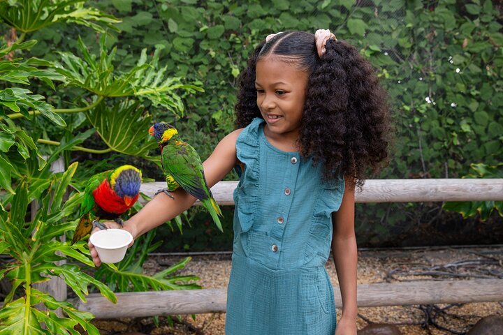 Skip the Ticketing Line: Aquarium of the Pacific General Admission Ticket
