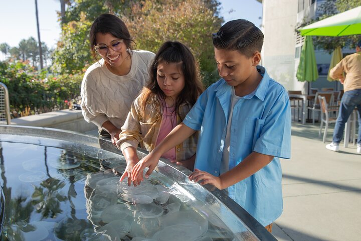 Skip the Ticketing Line: Aquarium of the Pacific General Admission Ticket
