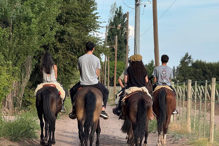 Horseback riding and lodging in Mendoza