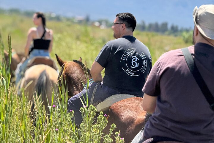 Horseback riding and lodging in Mendoza