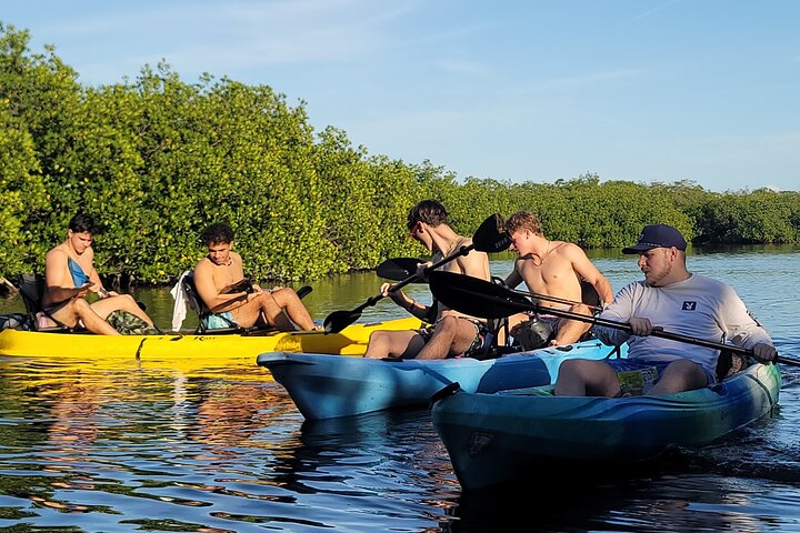 Kayak through Mangrove Forests in the Florida Keys