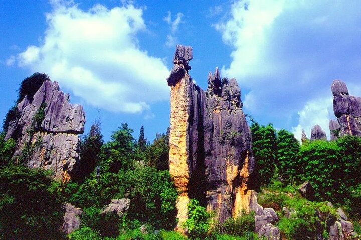 Stone Forest + Yiliang Roast Duck + Kunming City Private Tour