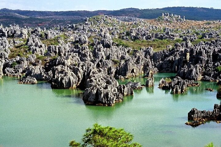 Stone Forest + Yiliang Roast Duck + Kunming City Private Tour