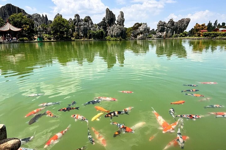Stone Forest + Yiliang Roast Duck + Kunming City Private Tour