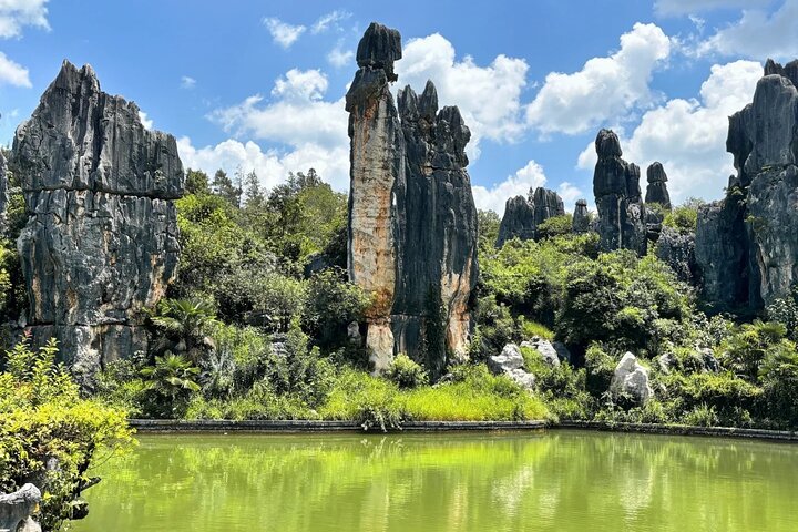 Stone Forest + Yiliang Roast Duck + Kunming City Private Tour