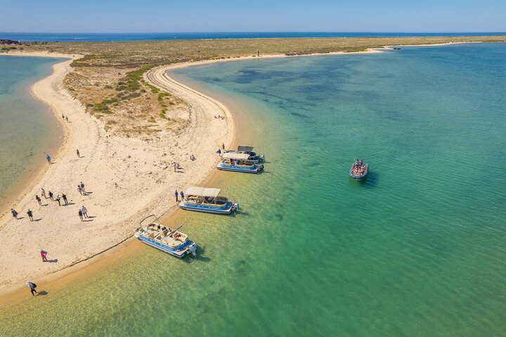 Ilha Deserta and Farol Island: a small group boat trip in Ria Formosa from Faro