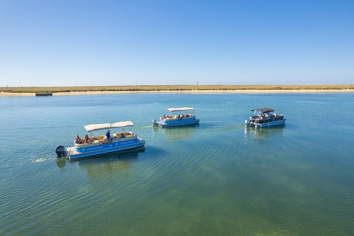 Ilha Deserta and Farol Island: a small group boat trip in Ria Formosa from Faro
