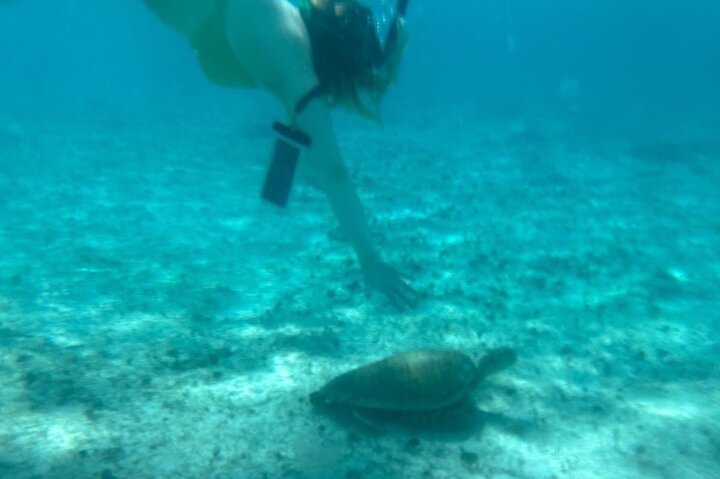 Bahamas Sea Scooter Snorkeling Adventure