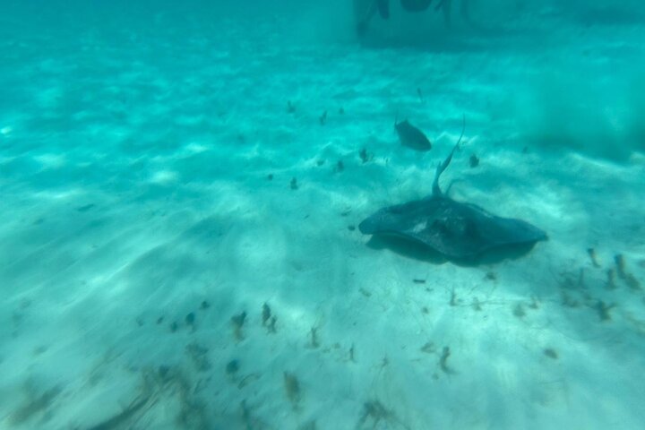 Bahamas Sea Scooter Snorkeling Adventure