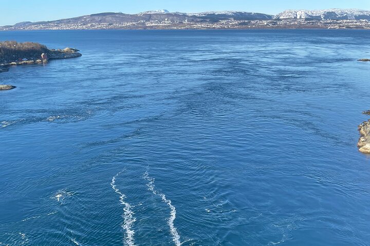 Magical Saltstraumen Tour
