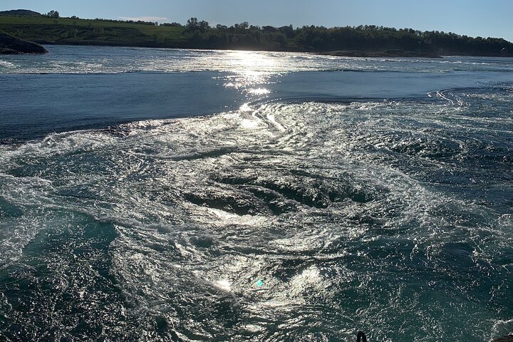 Magical Saltstraumen Tour