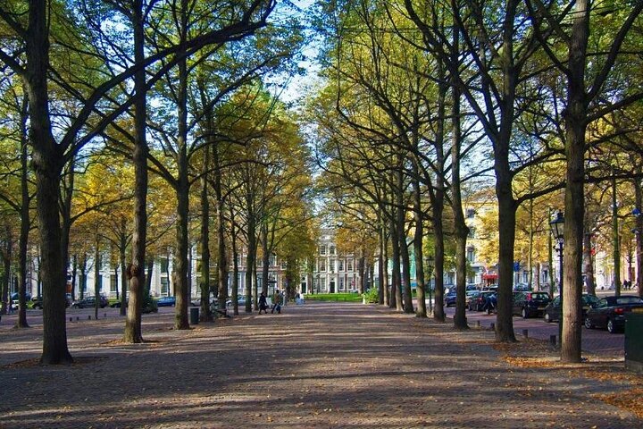 Leiden & The Hague: Pilgrims, Rembrandt and Royal History