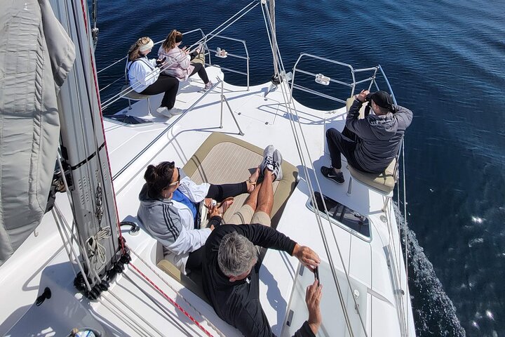Catamaran Sailing Cruise in Monterey