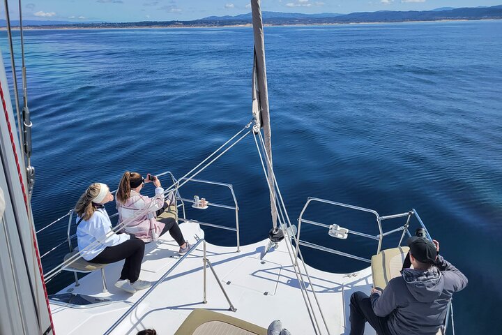 Catamaran Sailing Cruise in Monterey