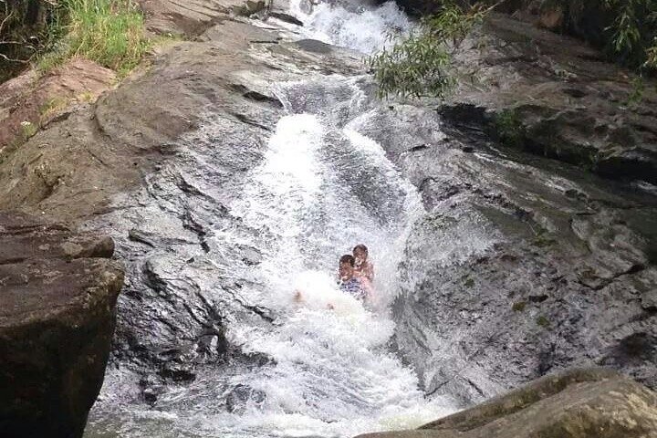 2 Tours in 1 Day Rainforest and Beach Adventure with Transport