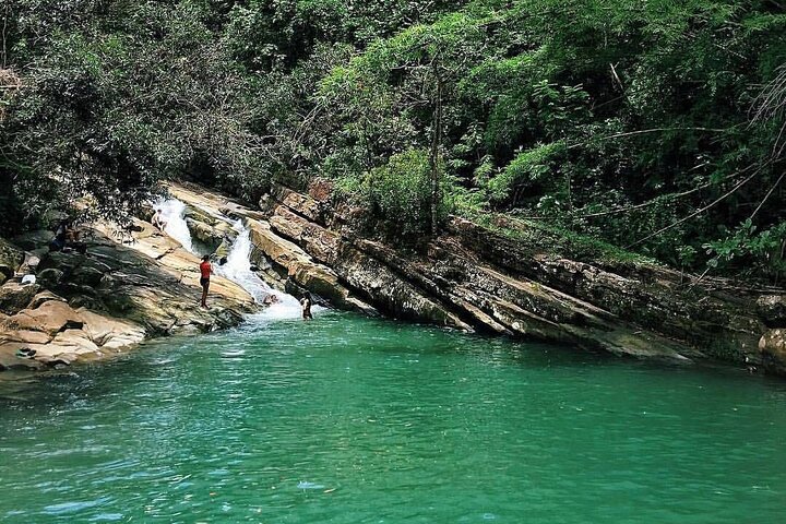 2 Tours in 1 Day Rainforest and Beach Adventure with Transport