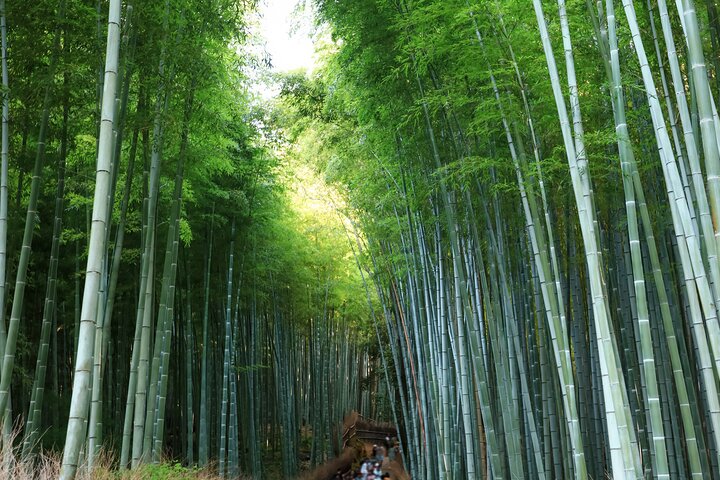 From Kyoto / Osaka: Kyoto Must-see Spots & Nara Park One Day Tour