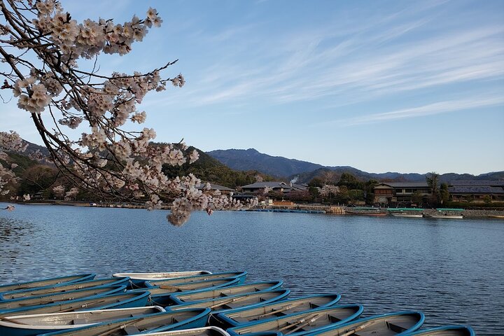 From Kyoto / Osaka: Kyoto Must-see Spots & Nara Park One Day Tour