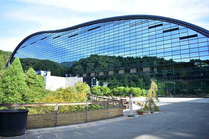 Hakata Cruise Shore Excursion Fukuoka Half Day Tour
