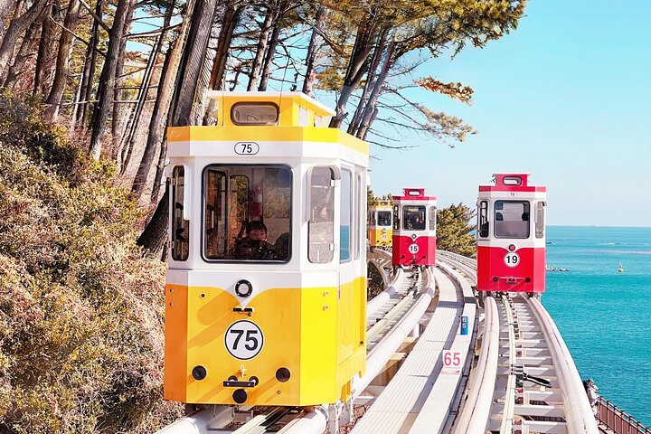 Busan Top Coastal Highlights with Gamcheon Village & Sky Capsule