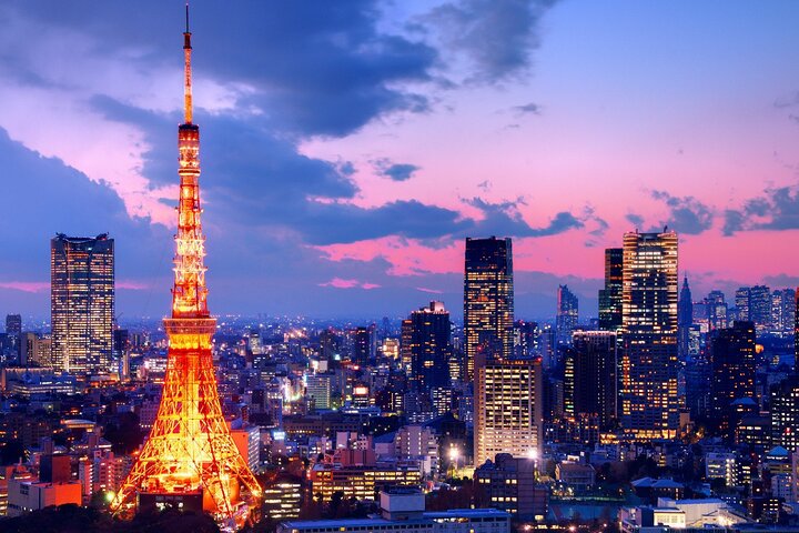 3 to 5 Hours Private Customizable Tour in Tokyo with Local Guide