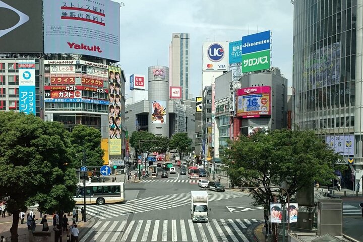 3 to 5 Hours Private Customizable Tour in Tokyo with Local Guide