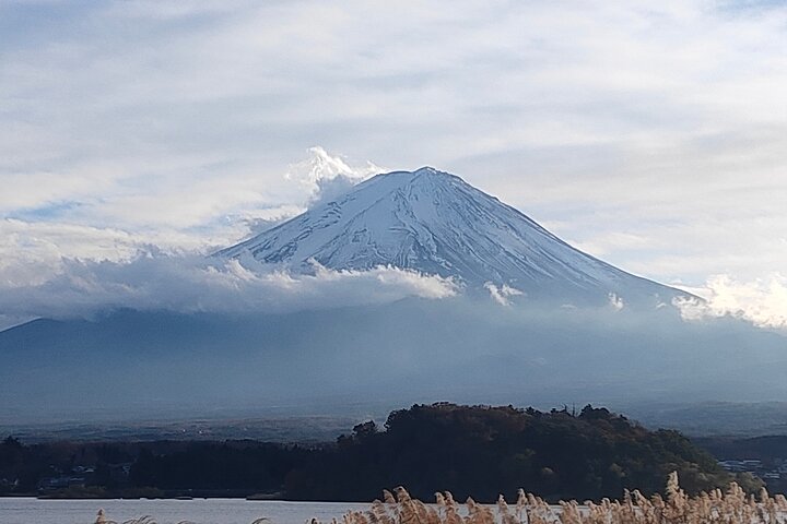 3 to 5 Hours Private Customizable Tour in Tokyo with Local Guide