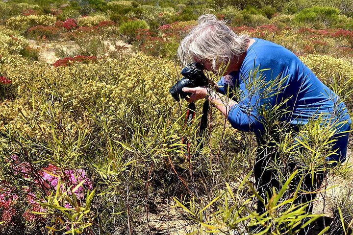 Kalbarri Wildflower Tour