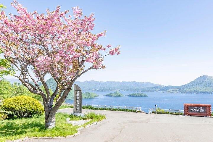 Hokkaido: Lake Toya, Bear Ranch and Sapporo Otaru Full Day Tour