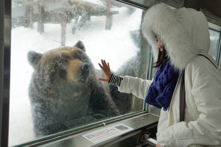 Hokkaido: Lake Toya, Bear Ranch and Sapporo Otaru Full Day Tour