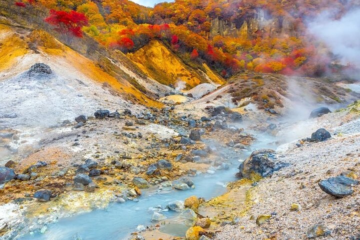 Hokkaido: Lake Toya, Bear Ranch and Sapporo Otaru Full Day Tour