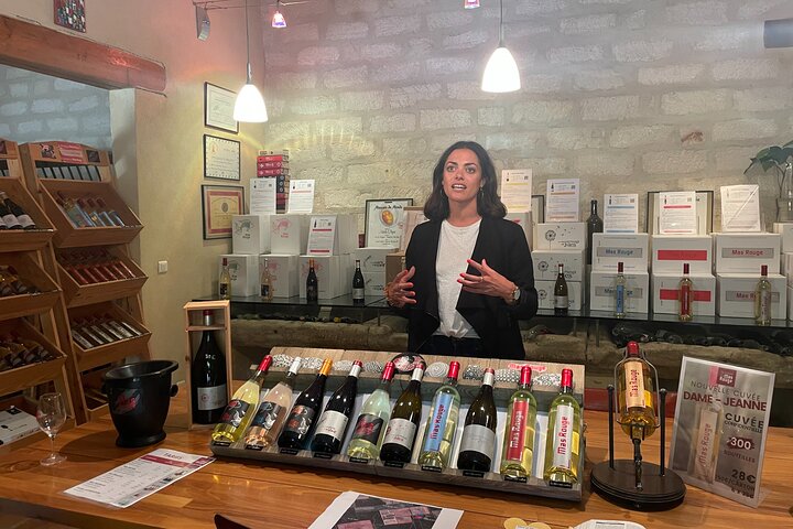 Picpoul de Pinet Tour - Half Day Oysters and Wines