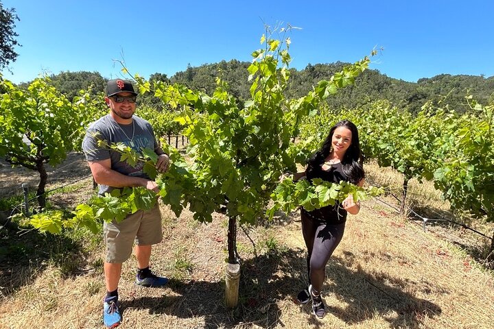 Sonoma Wine Country Electric Trike & Wine Tour - 3 hours