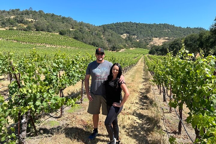 Sonoma Wine Country Electric Trike & Wine Tour - 3 hours