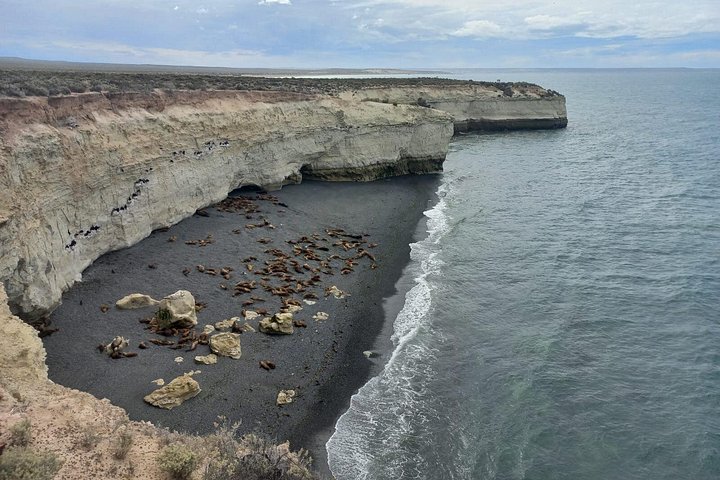 Tour South Circuit - Best of Puerto Madryn for CRUISES