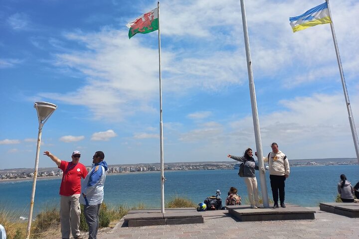 Tour South Circuit - Best of Puerto Madryn for CRUISES