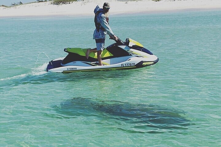 2 Hour Shell Island Jet Ski Dolphin Tour