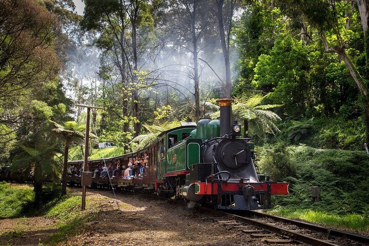 Puffing Billy Steam Train Experience