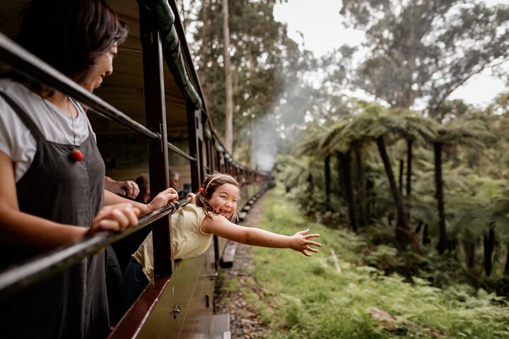 Puffing Billy Steam Train Experience