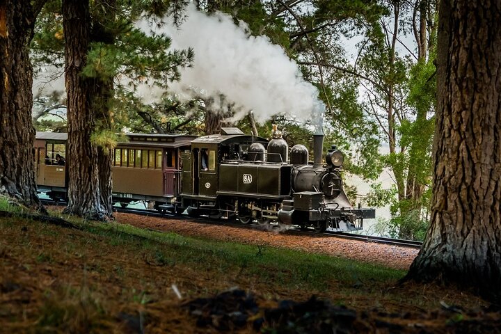 Puffing Billy Steam Train Experience