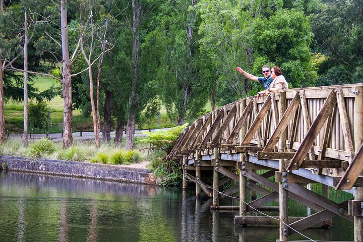 Puffing Billy Steam Train Experience